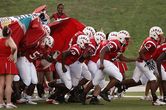 备以下特质 备以下特质